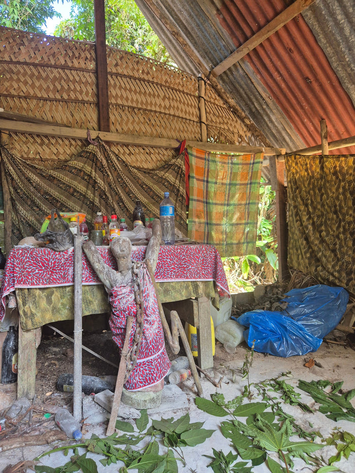 Dagtrip naar een Marrondorp in Suriname – Ontdek de Saramaccaanse cultuur