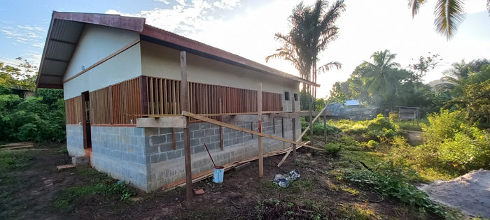 From Questions to Dreams in Drepada