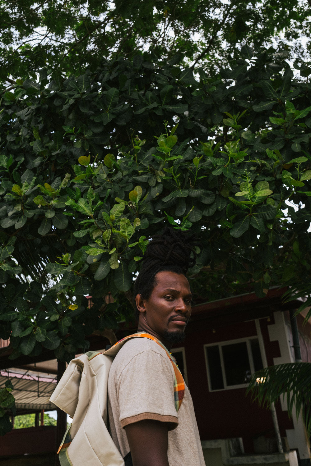 Folding Backpack Pangi (Beige- Green)